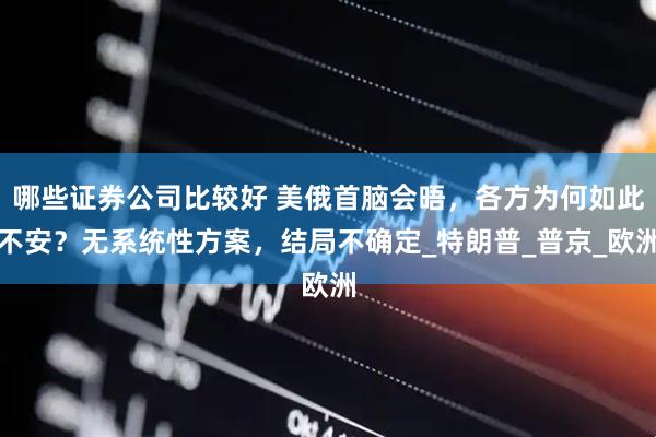 哪些证券公司比较好 美俄首脑会晤，各方为何如此不安？无系统性方案，结局不确定_特朗普_普京_欧洲